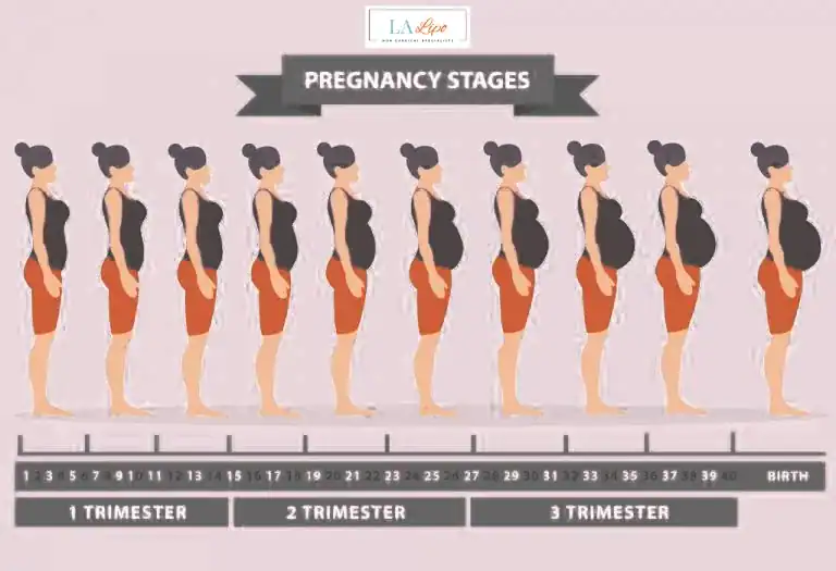 First Trimester (Weeks 1–12): Early Changes You Might Not Notice Cockfosters